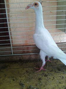 Photo0815