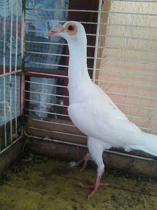 Photo0816