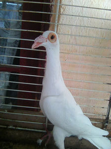 Photo0817