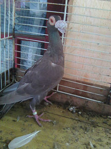 Photo0820