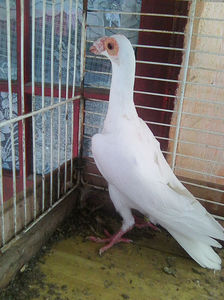 Photo0825