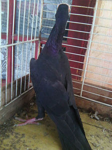 Photo0826
