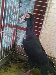Photo0830