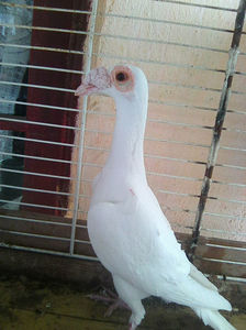 Photo0832