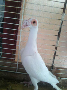Photo0833
