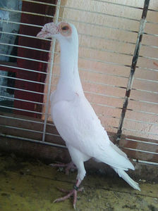 Photo0835