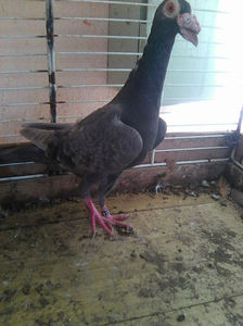 Photo0836
