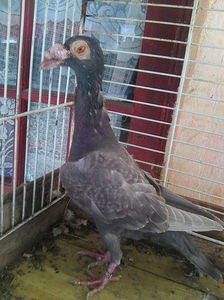 Photo0837