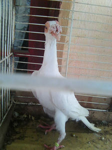 Photo0842
