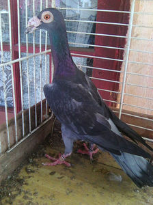 Photo0844