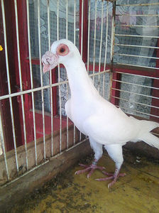 Photo0849