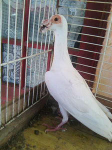Photo0853