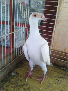 Photo0854