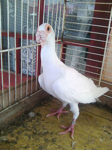 Photo0855