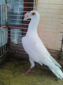 Photo0856
