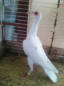 Photo0857