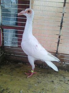 Photo0858