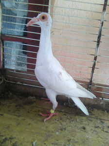 Photo0859