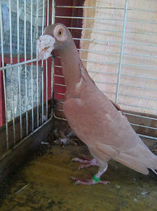 Photo0883