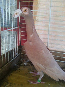 Photo0884