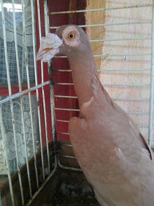 Photo0887