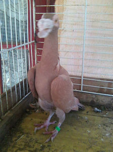 Photo0888