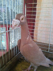 Photo0890