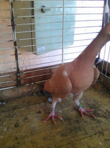 Photo0891