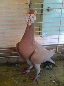 Photo0892