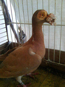 Photo0894