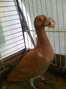 Photo0897