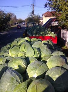 Photo0094