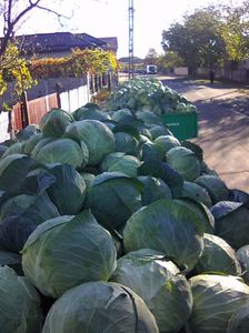 Photo0093