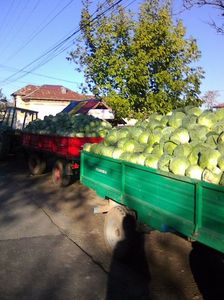 Photo0092