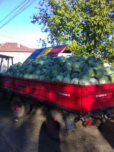 Photo0091
