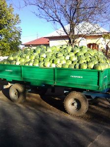 Photo0089
