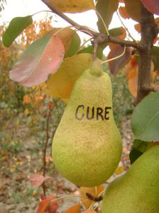 Para Cure; Para Cure
