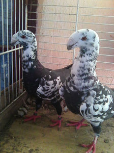 Photo0901