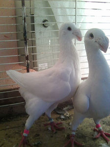 Photo0912