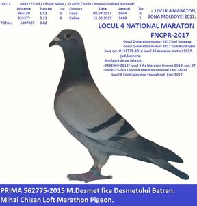 Loc 4 Nat Maraton 2017 FNCPR