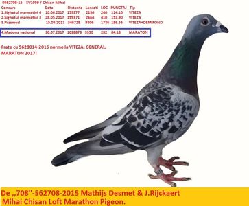 562708-2015 Madona 2017- 1038 km