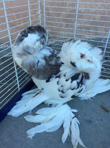 84769774-EDE7-4BFA-9F28-A03DE46F3CC3