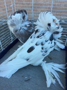 FCA12CBC-8ACC-4F80-9803-0B110D6FD8E4