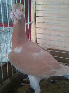 Photo0933