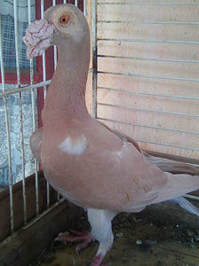 Photo0934