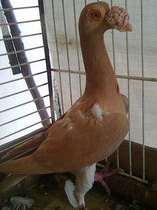 Photo0935