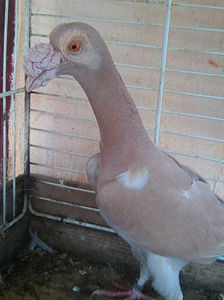 Photo0937