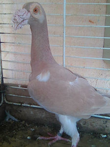 Photo0939