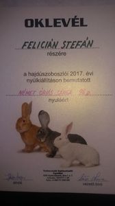 Campion Mascul Expozitia Hajduszaboszloi Ungaria !