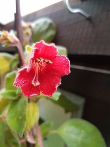 thumbnail (29)